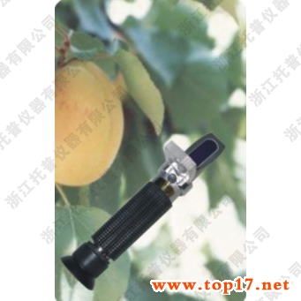 糖度計(jì) WZ108