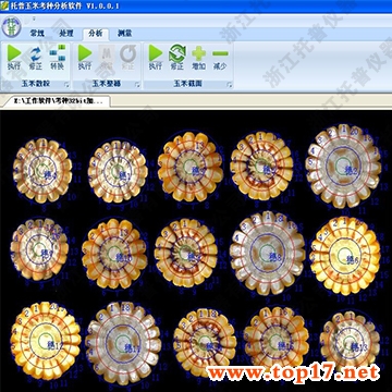 玉米育種自動考種儀