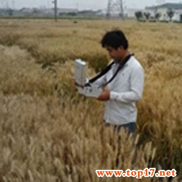 作物冠層溫度測量儀