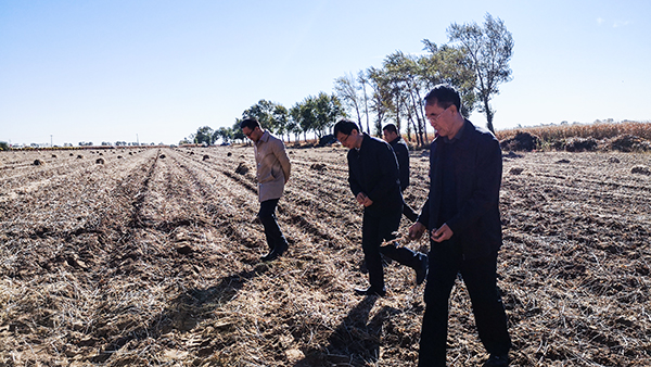 謝建華副主任、張永林副主任、陳渝陽董事長走在黑土地上