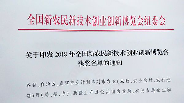 �@�����ι���