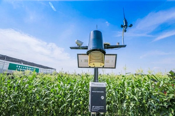 氣象監測綜合站