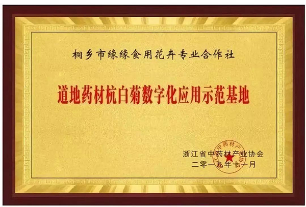 道地藥材杭白菊數字化應用示范基地