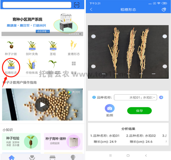 �����ΑB�y���x