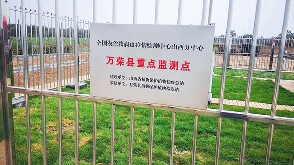 與會人員來到萬榮現(xiàn)代農(nóng)業(yè)產(chǎn)業(yè)園進(jìn)行現(xiàn)場觀摩