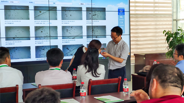 朱旭華副總經(jīng)理與代表們圍繞蟲(chóng)情測(cè)報(bào)深入交流