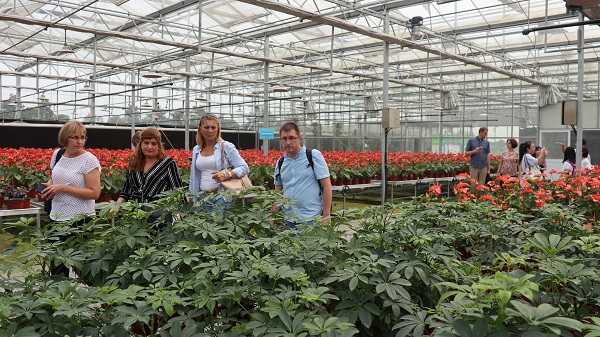 研修班一行在現代農業產業園現場觀摩6