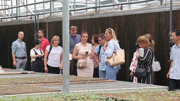 研修班一行在現代農業產業園現場觀摩4