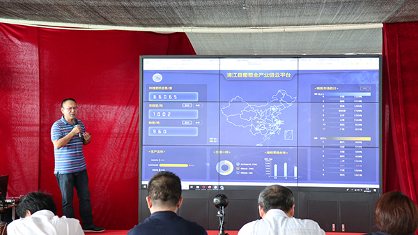 浙江森特浦江縣葡萄全產業鏈云平臺展示