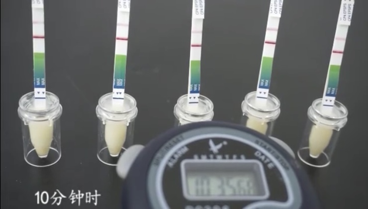 轉基因測試紙檢測速度快