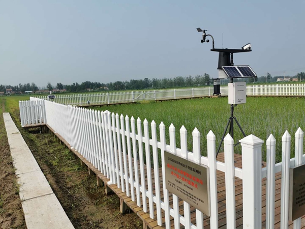 ���x���O�y�c