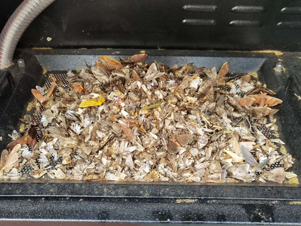 �C(j��)���T����ɺ���x(ch��ng)�w�����֣�