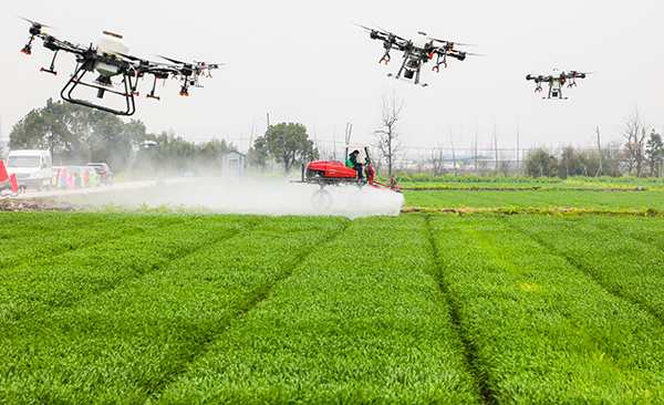 �������֡��o(w��)���r(n��ng)��(ch��ng)��