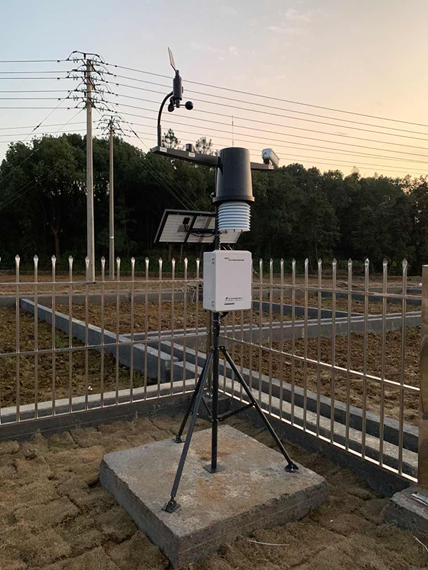 С����^�y�x