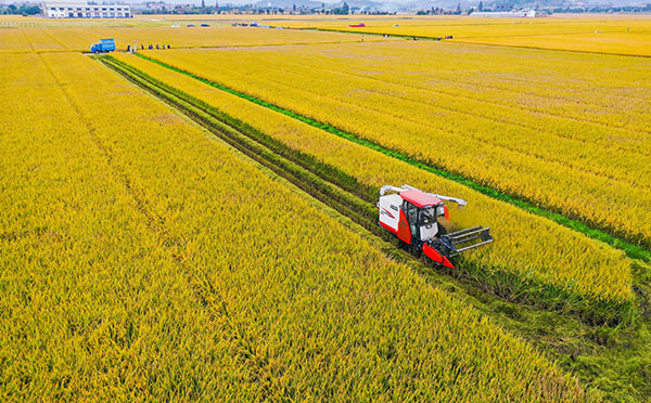 ���ִ��(sh��)���r(n��ng)�I(y��)�Ŀ���O(sh��)��Ч