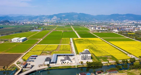 ?jn)?sh)ִr(nng)C(j)ҕNֲϢܻ