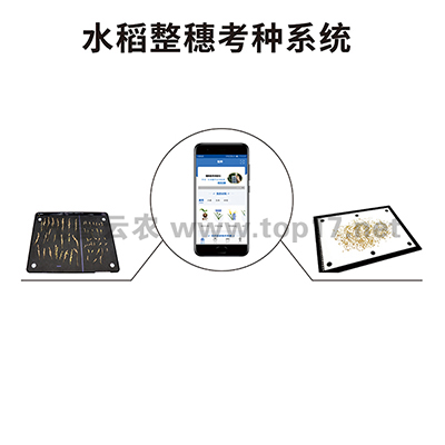 水稻整穗考種儀