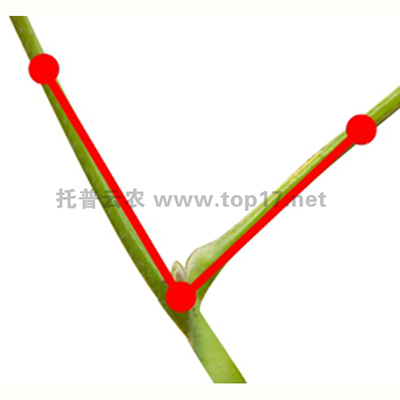 �󶹊A�ǜy��