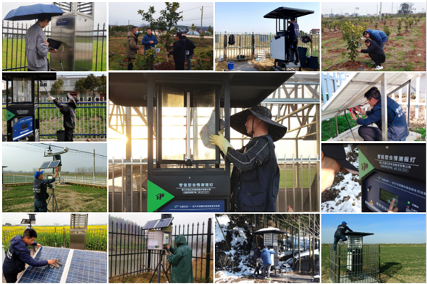 Ѳ�z�����H��Ѳ�����ڙz