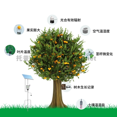 植物生理生態(tài)監(jiān)測系統(tǒng)TP-ZWSL系列
