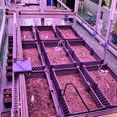 ҃(ni)NȰl(f)ͱO(jin)y(c)ϵy(tng) TPN-SeedPhy