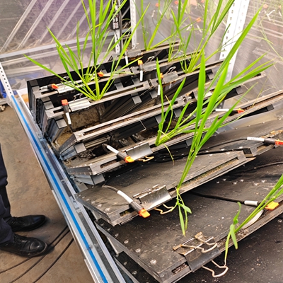 ֲͨϵͲɼϵy(tng)ʽ TPN-GXY-GH